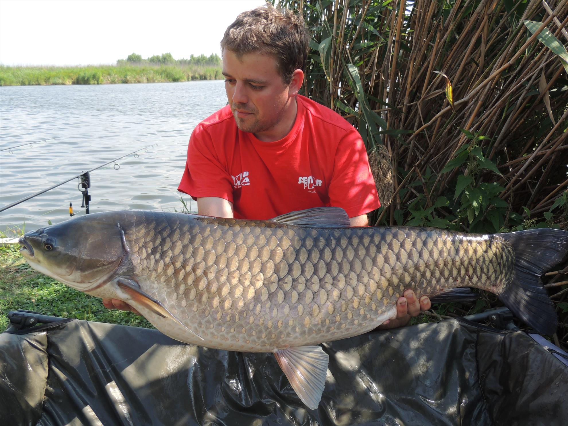 Tancabesti 12 - 14 sep. - dscn6646.JPG